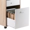 Kenner File Cabinet; 2-Drawer; Reclaimed Wood and White