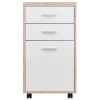 Kenner File Cabinet; 2-Drawer; Reclaimed Wood and White