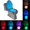 Motion Sensor Night Light Toilet Light For Toilet Bowl Backlight WC Lighting LED Lamp